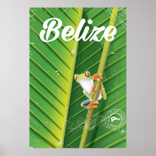 poster de viagens de desenho animado do Sapo Beliz