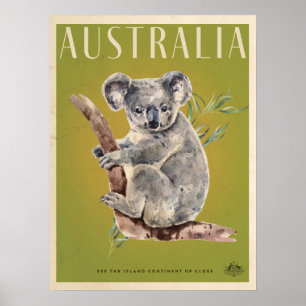 Poster de viagens de Koala Australiano Vintage