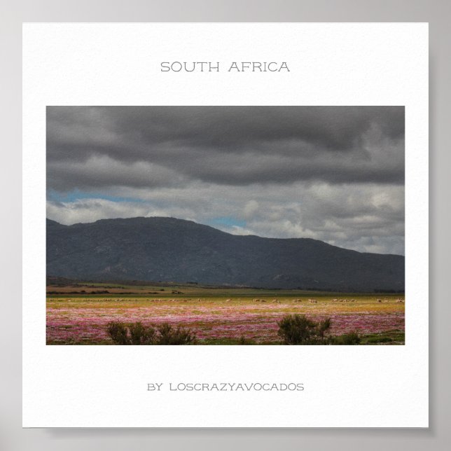 Poster de viagens de Paisagem das Flores Selvagens (Frente)