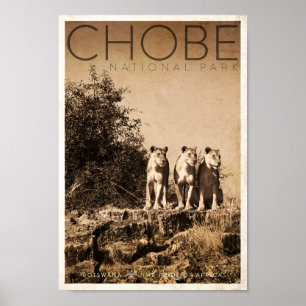 Poster de viagens do Parque Nacional do Vintage Ch