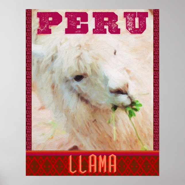 Poster de viagens do Peru - Lhamas do Peru (Frente)
