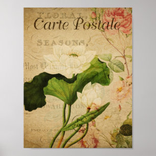 Poster de Vintage Botânica - Lotus Francês