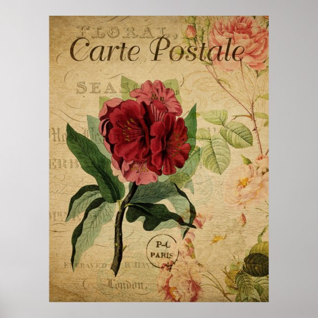 Poster de Vintage Botânica - Rhododenron (Frente)
