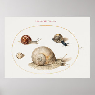 Poster de Vintage Snails