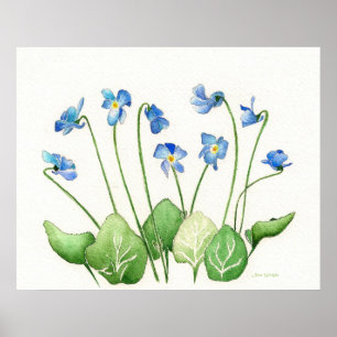 Poster de Violetas Azuis