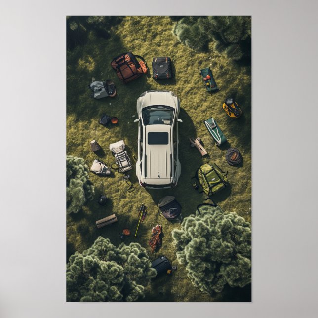 Poster de Visão Geral do Carro Nissan Branco Moder (Frente)