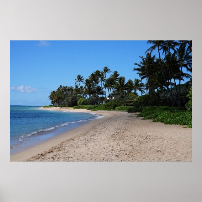 Poster de Vista Cênica da Costa do Havaí (Frente)