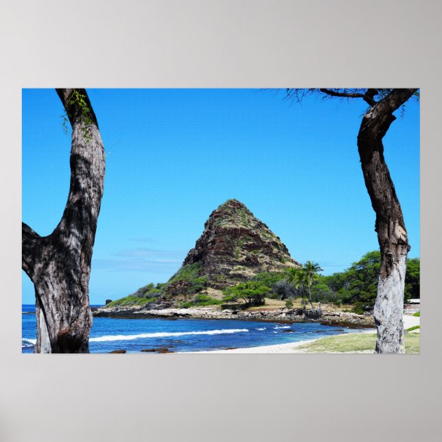 Poster de Vista Cênica da Costa do Havaí (Frente)