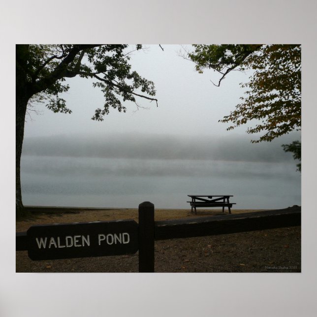 Poster de Walden Pond - Mista Contemplativa (Frente)