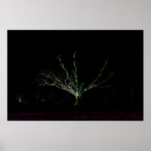 Poster de wapcn Lado Escuro 1