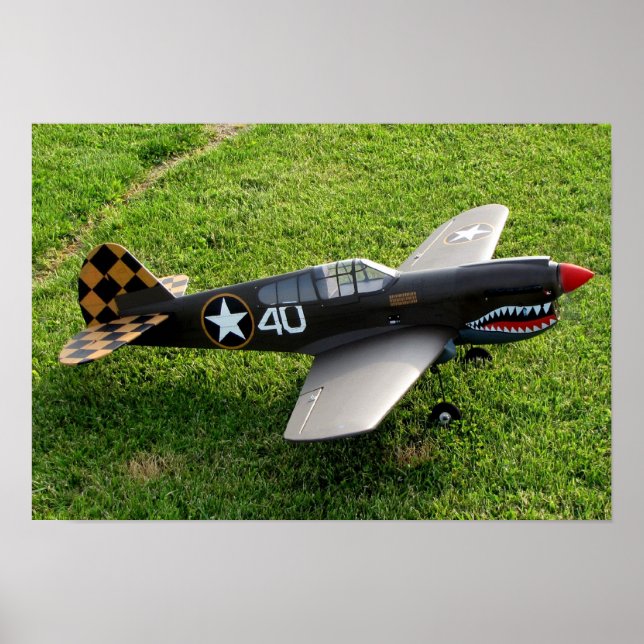 Poster de Warbird P-40 (Frente)