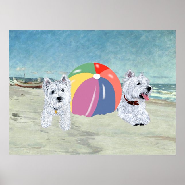 Poster de Westies com uma Bola de Praia (Frente)