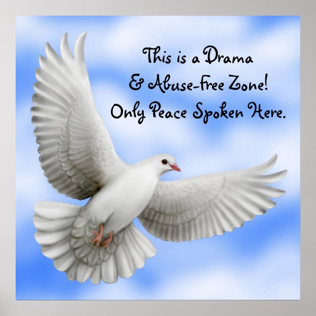 Poster de Zona Livre de Drama e Abuso (Frente)