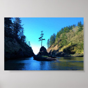 Poster Dead Man's Cove, Cape Disappointment, WA