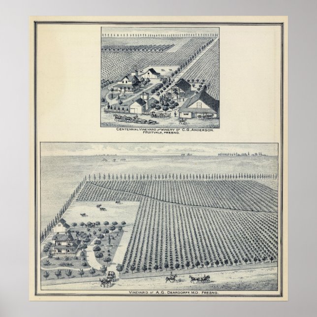 Poster Deardorff e Centennial Vineyards, Califórnia (Frente)