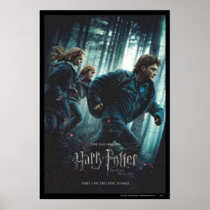 Póster Deathly Hallows - Group Running