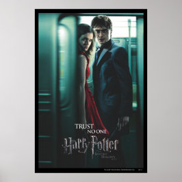 Póster Deathly Hallows - Harry e Hermione