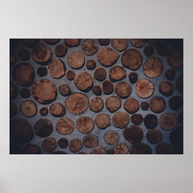 Poster Decapores de madeira de cortiça (Frente)