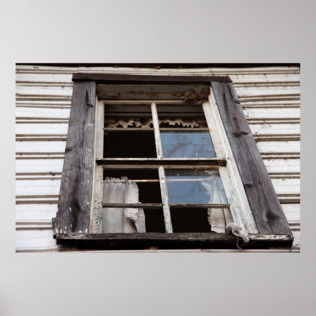 Póster Decay de Rapunzel (Frente)