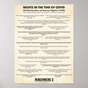 Poster Declaração Da ONU Sobre Direitos Humanos 1948 X 