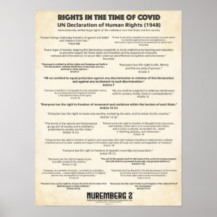 Poster Declaração Das Nações Unidas Sobre Os Direitos