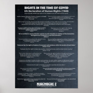 Poster Declaração Das Nações Unidas Sobre Os Direitos Hum