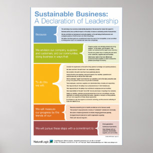 Poster Declaração de Liderança