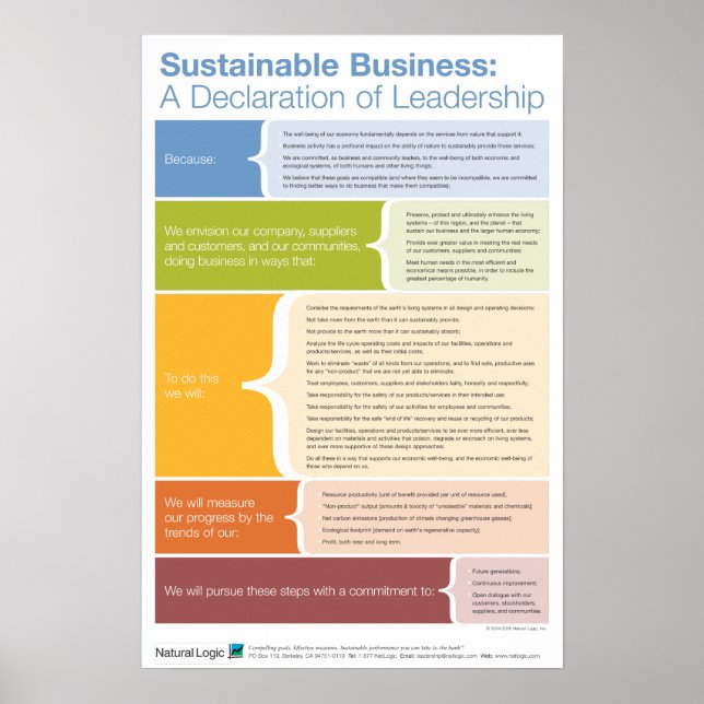 Poster Declaração de Liderança (Frente)