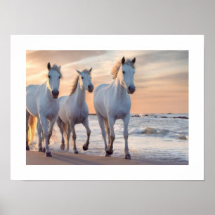 Poster Decor da parede de cavalos