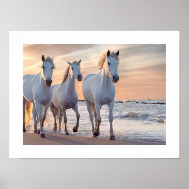 Poster Decor da parede de cavalos (Frente)