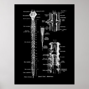 Poster Decor de Parede Médica da Anatomia da coluna