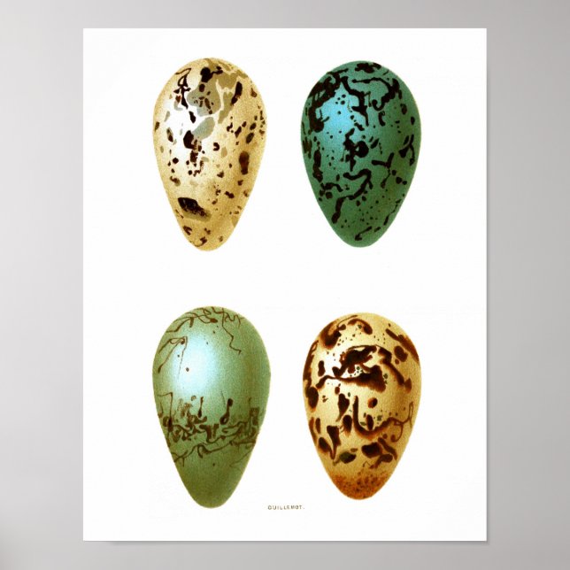 Póster Decor de Primavera de Páscoa n.o 8 para ovos de av (Frente)