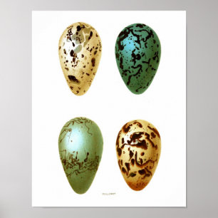 Póster Decoração antiga do primavera da páscoa do