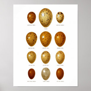 Póster Decoração antiga do primavera da páscoa do