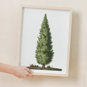 Poster Decoração da Floresta Natural de Carvalho