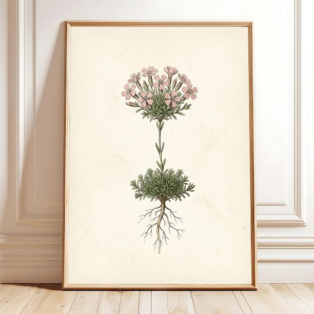 Poster Decoração de Casa de Campo com Musgo Botânico (Criador carregado)