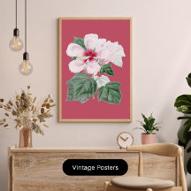 decoração de casa de escritório de Hibisco Esplênd