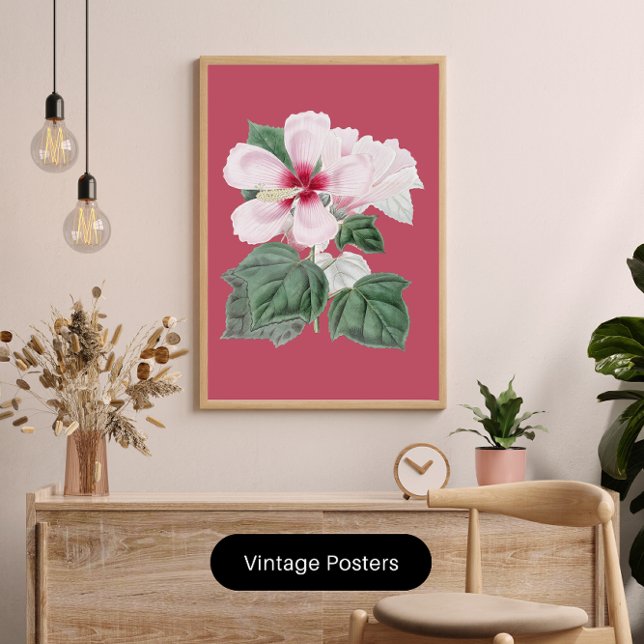 Poster decoração de casa de escritório de Hibisco Esplênd (Criador carregado)