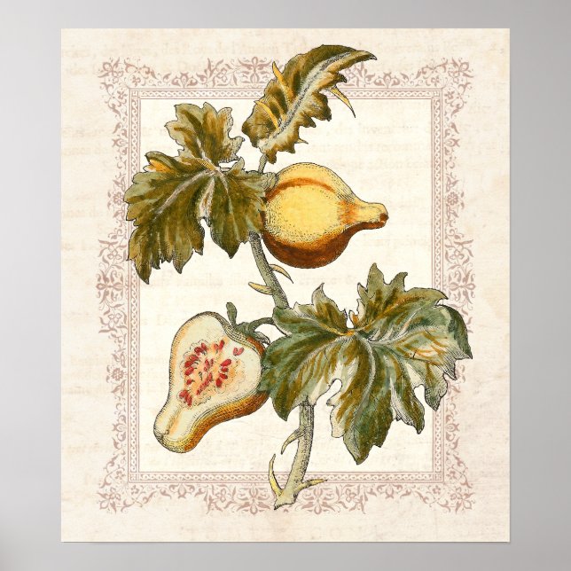Póster Decoração de Cozinha Solana Frutada com Pear (Frente)