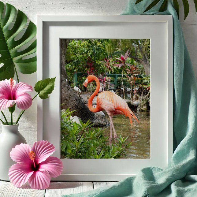 Poster Decoração de Flamingo Rosa Fotografia Bonita Sprin (Tropical gifts pink flamingo photography Wonder Gardens Bonita Springs by Victoria Grigaliunas)