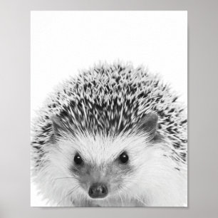 Poster Decoração de Hedgehog Woodland Kids Room 