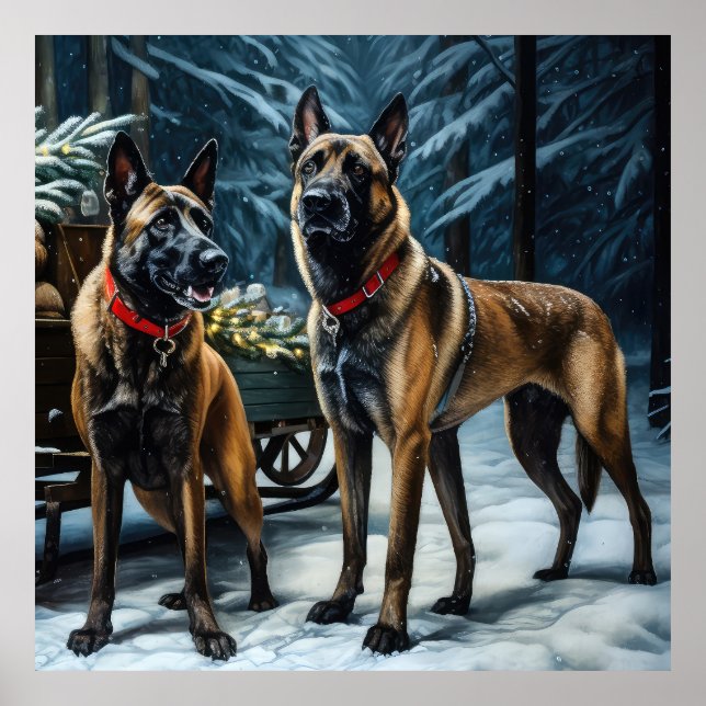 Poster Decoração de Natal belga Malinoi Snowy Sleigh (Frente)