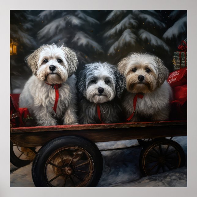 Poster Decoração de Natal de Havanese Snowy Sleigh (Frente)