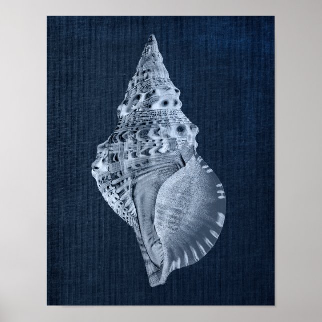 Poster Decoração de Seashell de marinho para o banheiro o (Frente)