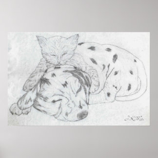 Poster Decoração do Muro de Paz e Harmonia