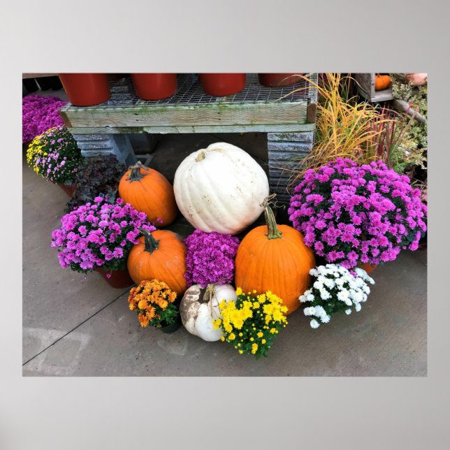 Poster Decoração do outono (Frente)