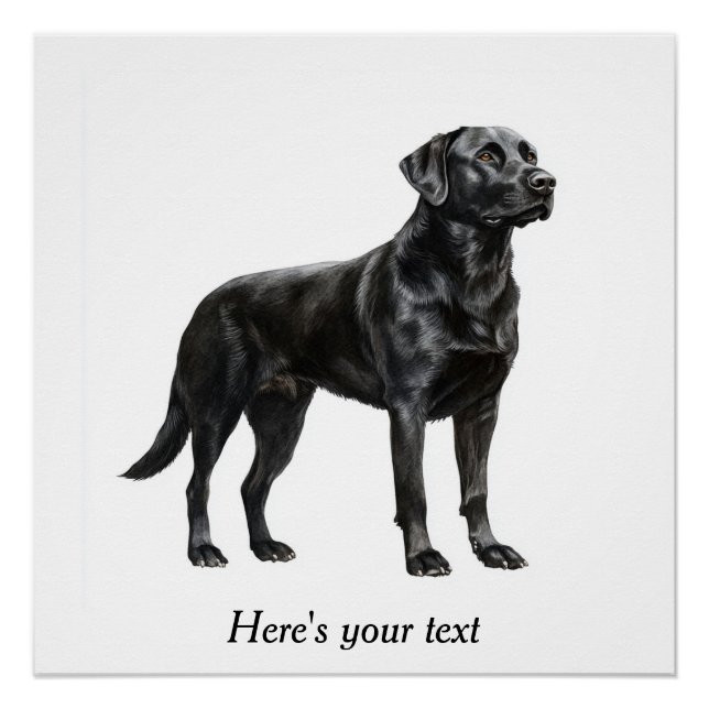 Póster Decoração Personalizada de Labrador Retriever Pret (Frente)