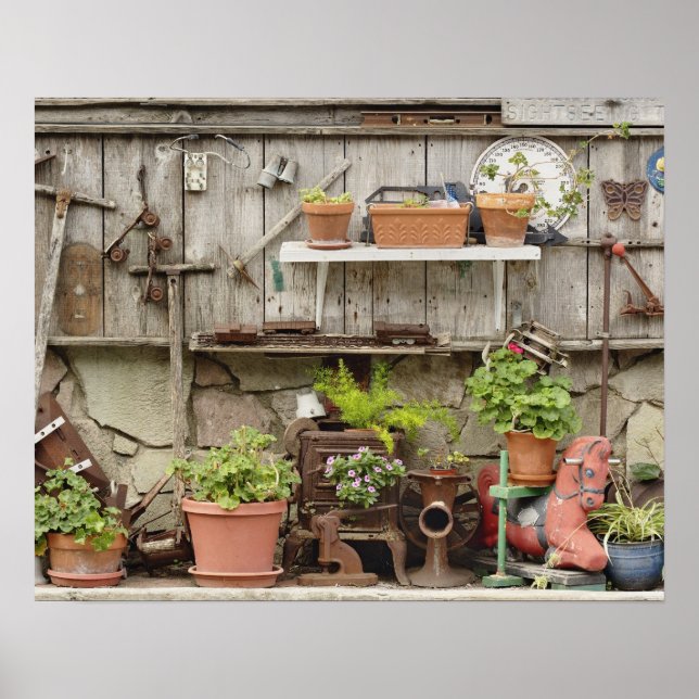 Póster Decorações em cerca de madeira, Ilha Catalina, (Frente)