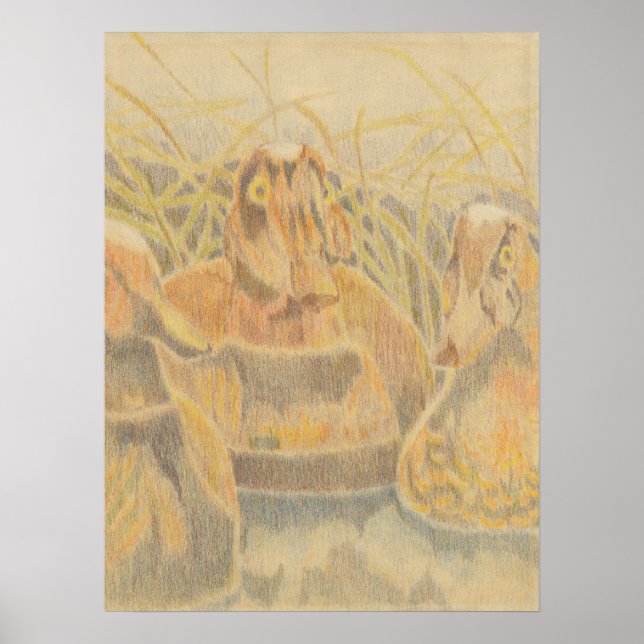 Poster Decoys de Pato de Madeira em Pond (Frente)