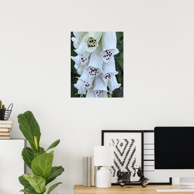 Poster Dedal-de-Rabo-de-Raposa-Branco-Com-Manchas-Rosas F (Escritório em casa)
